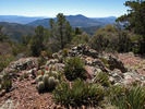 photo thumbnail #5