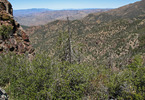 photo thumbnail #10