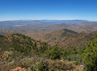 photo thumbnail #14