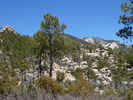 photo thumbnail #3