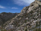 photo thumbnail #8