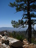 photo thumbnail #4