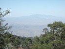 photo thumbnail #13