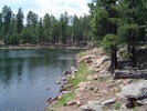 photo thumbnail #5
