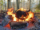 photo thumbnail #7