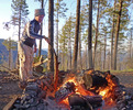photo thumbnail #8