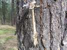 photo thumbnail #14