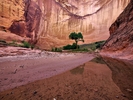 photo thumbnail #15