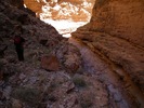 photo thumbnail #10