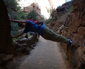 photo thumbnail #5