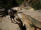 photo thumbnail #3