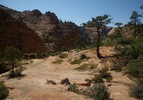 photo thumbnail #6