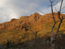 photo thumbnail #6