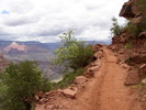 photo thumbnail #8