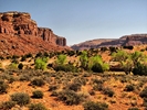 photo thumbnail #11