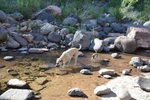 photo thumbnail #4