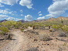 photo thumbnail #1