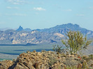 photo thumbnail #9