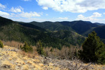 photo thumbnail #4