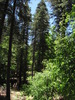 photo thumbnail #11