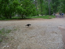 photo thumbnail #2