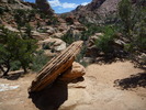 photo thumbnail #4