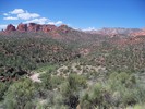 photo thumbnail #4