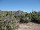 photo thumbnail #4