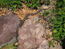 photo thumbnail #12