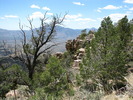 photo thumbnail #15