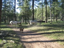 photo thumbnail #9