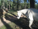 photo thumbnail #10