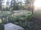 photo thumbnail #15