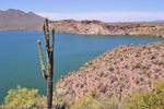 photo thumbnail #5