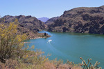 photo thumbnail #6