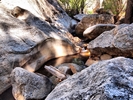photo thumbnail #12