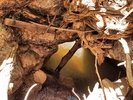 photo thumbnail #13