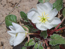photo thumbnail #15