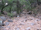 photo thumbnail #8
