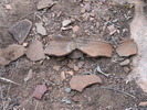 photo thumbnail #15