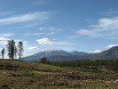 photo thumbnail #4
