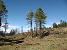 photo thumbnail #8