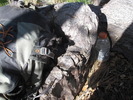 photo thumbnail #2