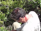 photo thumbnail #5