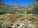 photo thumbnail #7