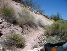 photo thumbnail #1