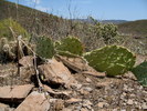 photo thumbnail #6