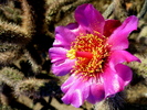 photo thumbnail #4