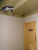 photo thumbnail #12