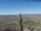 photo thumbnail #4